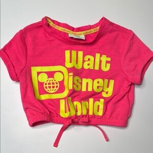 Walt Disney World Cropped Tee
